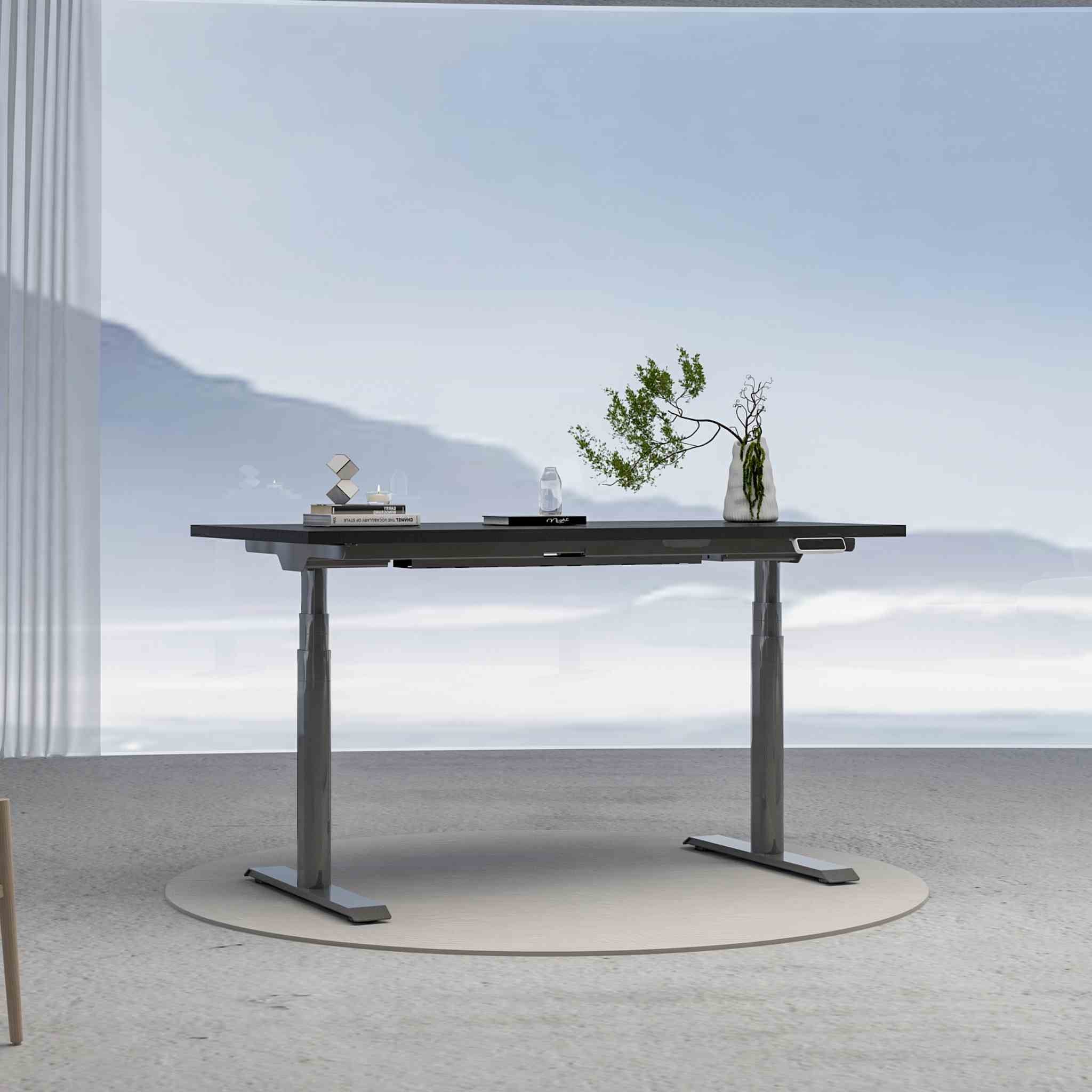 FlexiSpot E8 –Bureau assis debout électrique à pieds ovales - Image 7